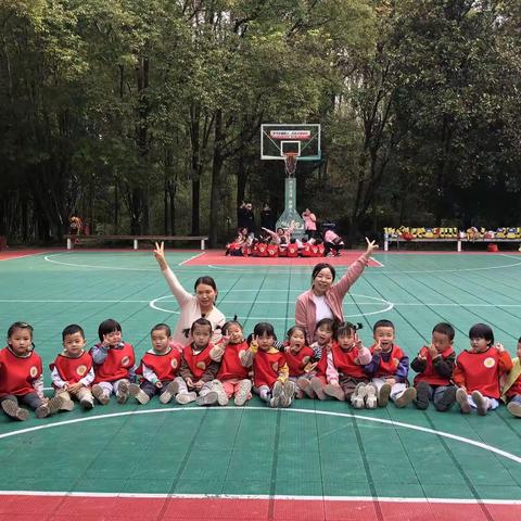 遇秋“拾”美好小二班第八周