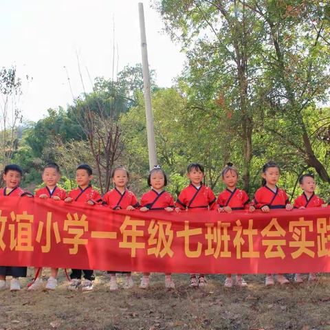 拥抱秋天，收获喜悦——张家界敦谊小学一年级（7）班收秋劳动实践活动