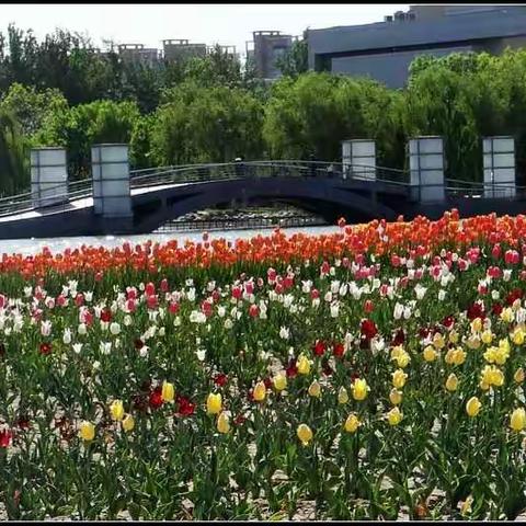 文化艺术中心景色