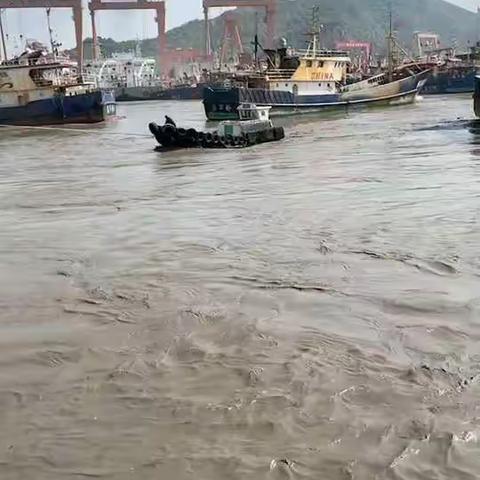 感受了一次海啸的力量