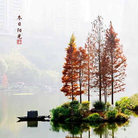 《冬日阳光*彩云湖》