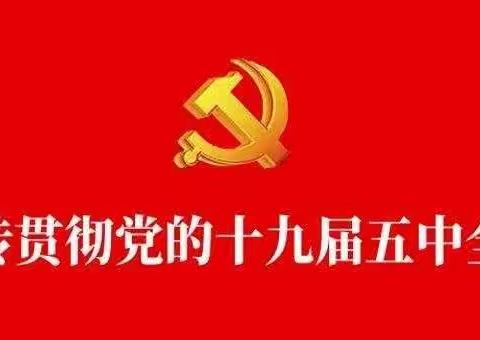 罗汉洞乡南河村小学学习宣传贯彻党的十九届五中全会精神活动