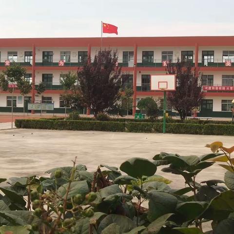 践行“弘扬高尚师德，潜心立德树人”滕州市姜屯镇马厂小学教学成果喜报频传