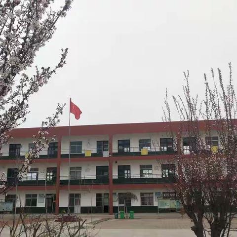 滕州市姜屯镇马厂小学美术课精品线描临摹课