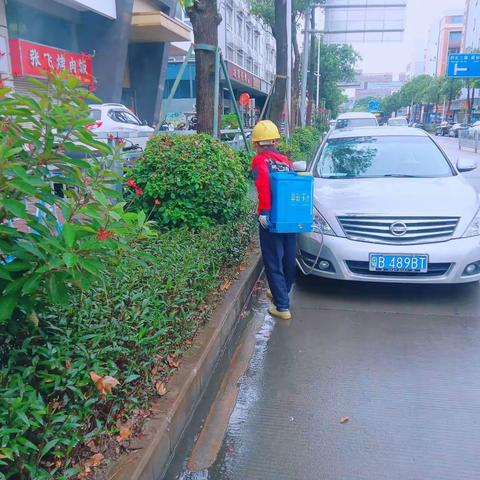欧作连的美篇