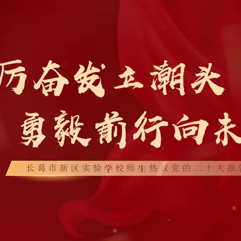 踔厉奋发立潮头  勇毅前行向未来——长葛市新区实验学校师生热议党的二十大报告（二）