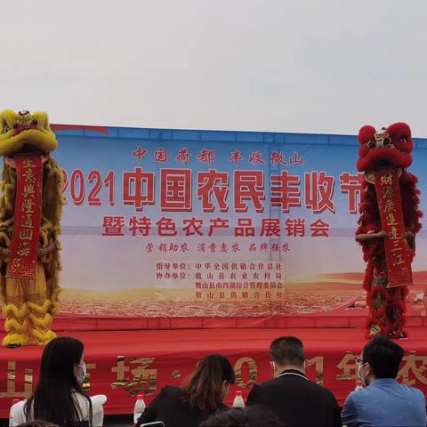 金秋时节话“丰收”
