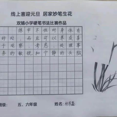 五年级庆元旦书法作品集