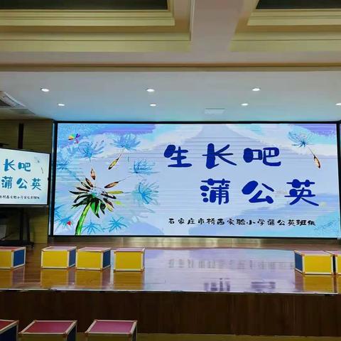 生长吧！蒲公英石家庄桥西实验小学蒲公英班级完美教室展演