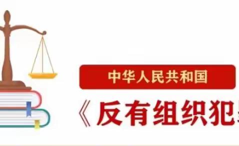 知法于心 守法于行—颍川中心学校组织学习《反有组织犯罪法》