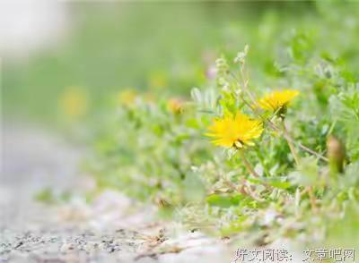 “不理、不争、不气”
