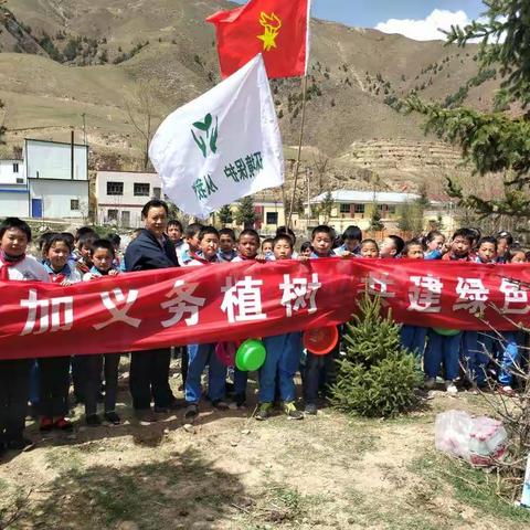 开展义务植树，为家乡添新绿