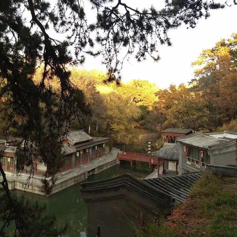 五顏六色    五彩缤纷