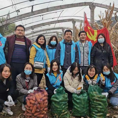 彬州市养老保险经办中心：党员干部齐上阵 抢收保收解民忧