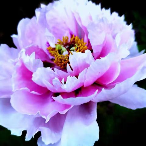 百般颜色百般颜