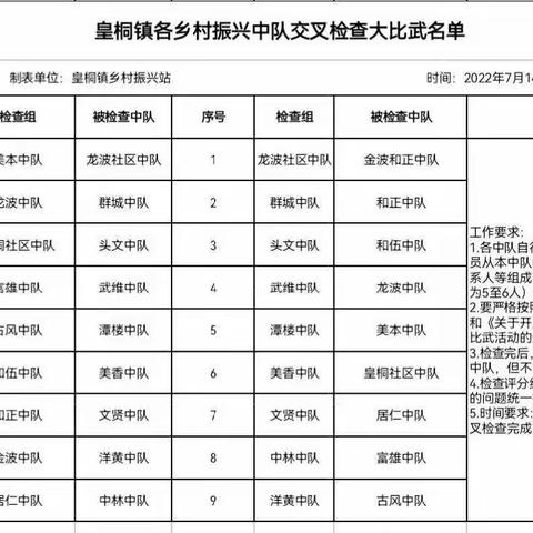 美本中队开展皇桐镇2022年村级乡村振兴中队交叉检查大比武