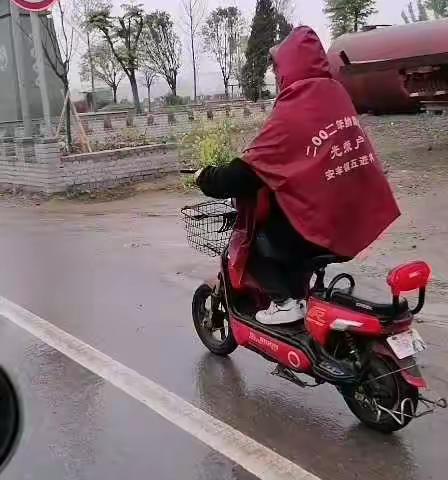 红苹果幼儿园冒雨学习篇