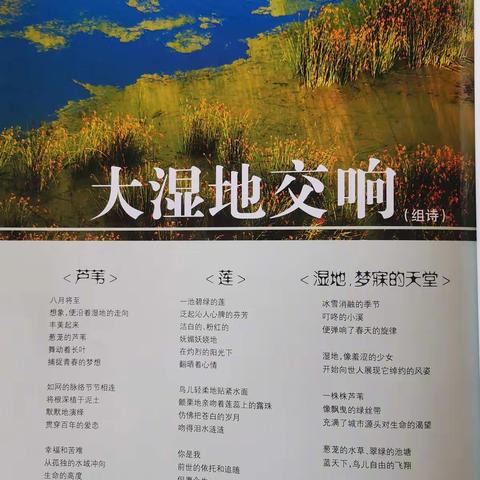 【现代诗】大湿地交响（组诗）