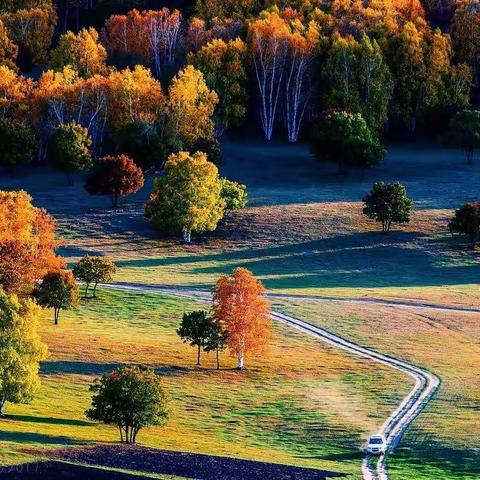 【现代诗】秋风键上的足音