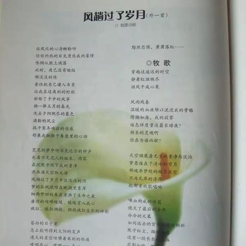 【现代诗】风趟过了岁月（外一首）