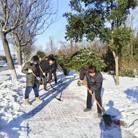 扫雪除冰护安全 财政干部在行动