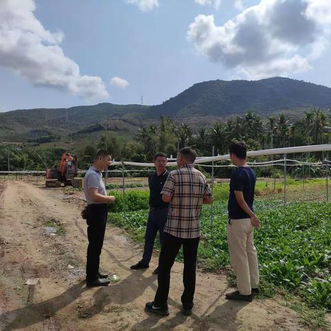 市农业农村局种植业科赴水蛟村扎业蔬菜基地调查基础设施建设问题