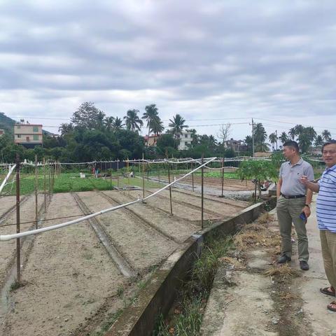 市农业农村局种植业科赴常年蔬菜基地检查