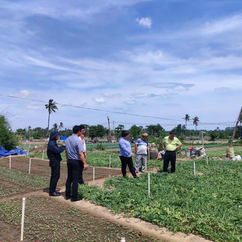 曲环同志赴儋州市、东方市开展平价菜产销对接调研