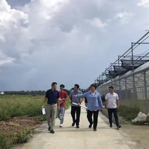 “查堵点、破难题、促发展”省农业农村厅核查组开展常年蔬菜基地实地核查工作