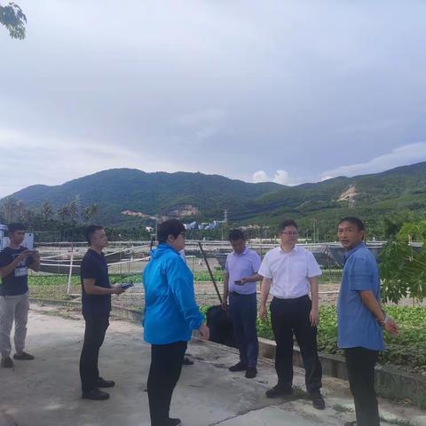 “为民办事情”“查堵点、破难题、促发展”叶凯中副秘书长赴天涯区督导常年蔬菜基地建设工作