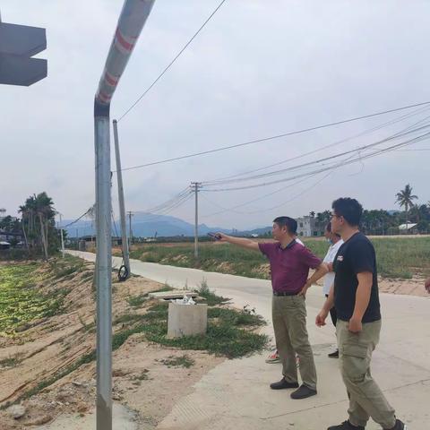 市农业农村局赴各区常年蔬菜基地检查