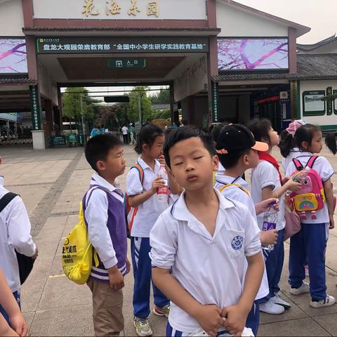 2021年百花小学1.6班盘龙打观园