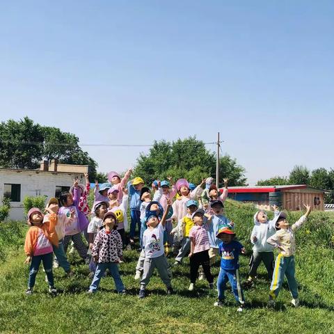 走进农田   体验农耕———赛罕区蒙古族幼儿园小一班  主分园实践活动