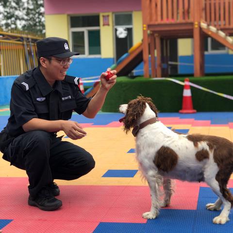 最美童年好时光之警犬来园