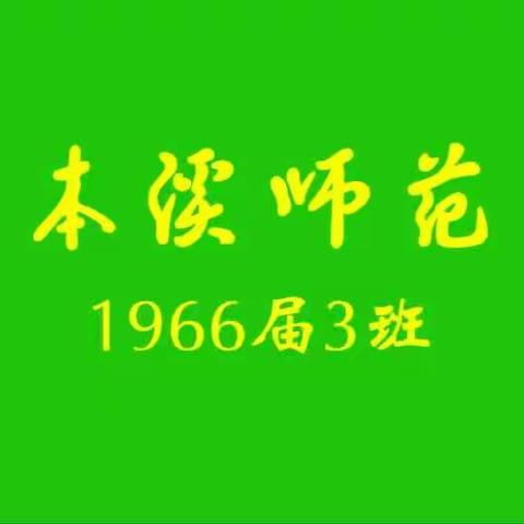 生命中的遇见（阅读版）