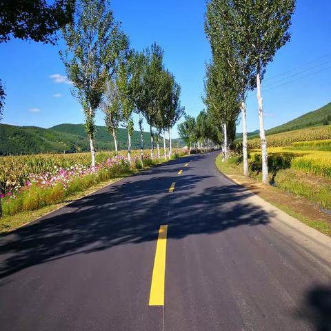 循一条小路话家乡村村通