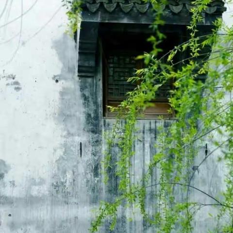 春天的祝福