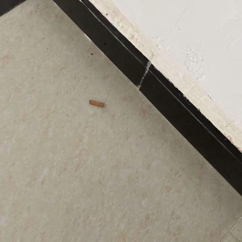 宿舍卫生检查报告