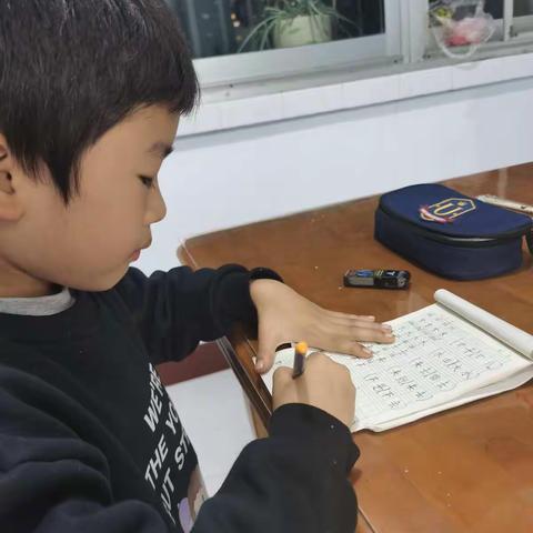 李泓篪   陇南市实验小学21天养成好习惯