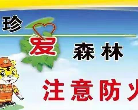 森林防火致家长一封信