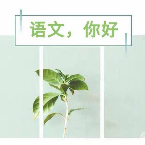 “语”意深深抒流年，“文”韵悠悠行致远——富裕县小学语文部编版教材第三学段教研活动纪实