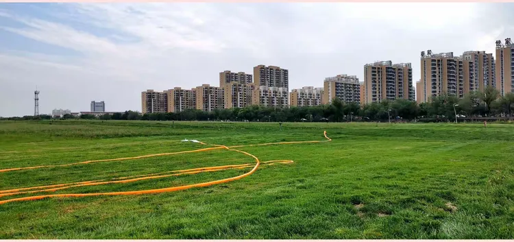草皮大概多少钱一平方米