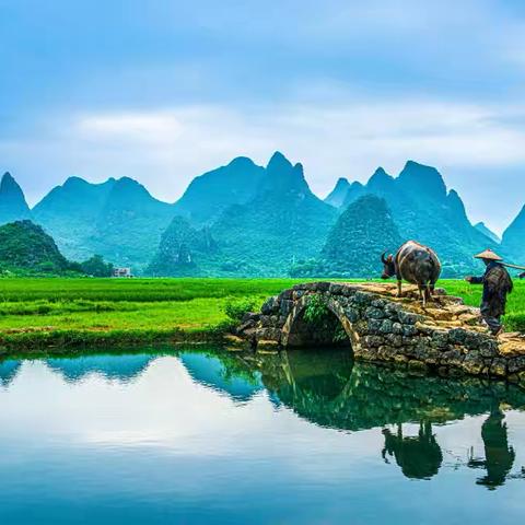 如诗如画的摄影作品