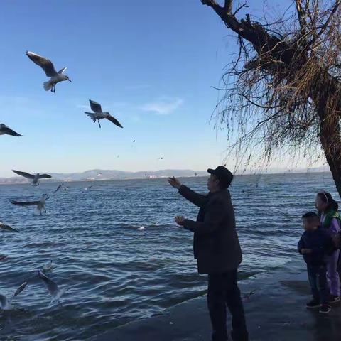 云南之旅之昆明篇