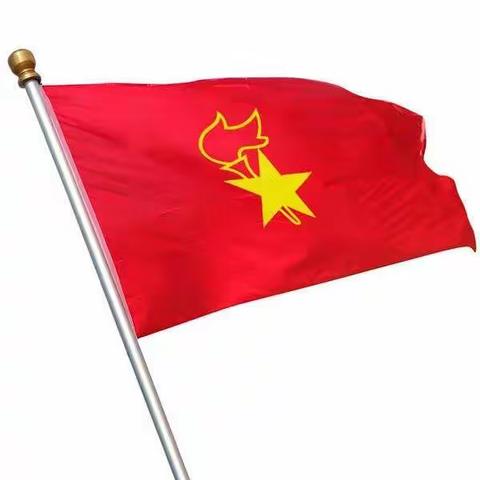 中国少年先锋队静宁县甘沟镇学区第一次代表大会