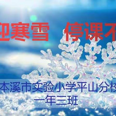 “立冬迎寒雪  停课不停学”本溪市实验小学平山分校一年三班居家学习纪实