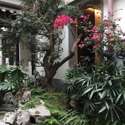 庭院深深——福州三坊七巷