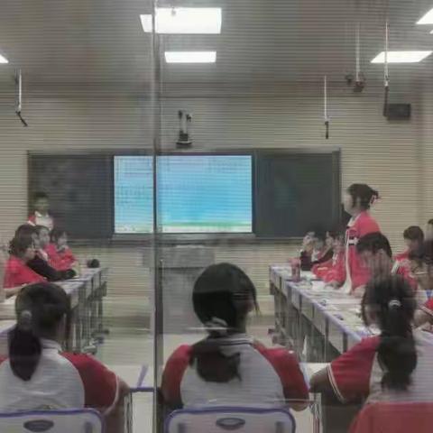 北京师范大学海口附属学校政治教研组——模拟听证会活动