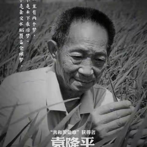 “风吹过稻田，我们就想起您”——记横河小学全体师生沉痛悼念袁隆平院士