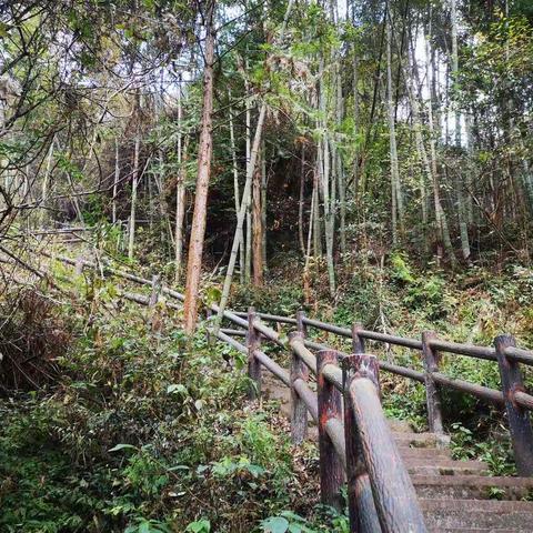 探险“骆驼峰”